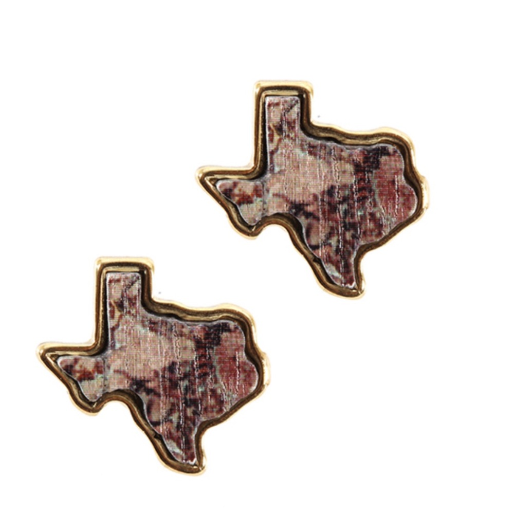 Semi Wood Texas State Map Earring